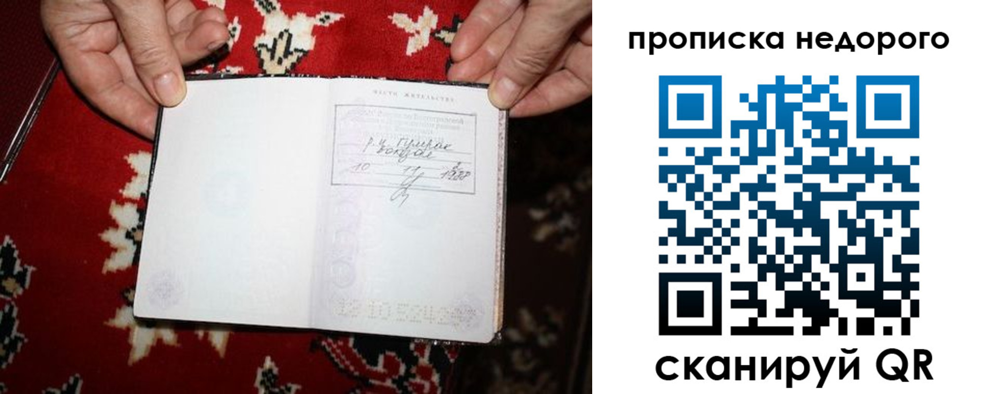 прописка гарантия в Вельске